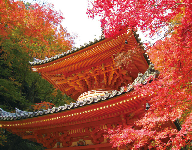 牛滝山大威徳寺