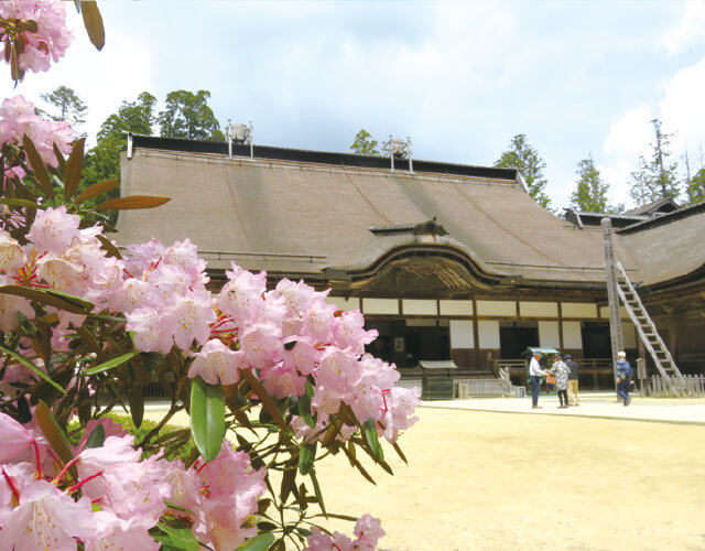 高野山（金剛峯寺）