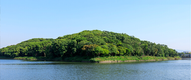 南海沿線の魅力