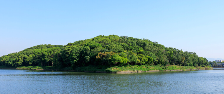 南海沿線の魅力